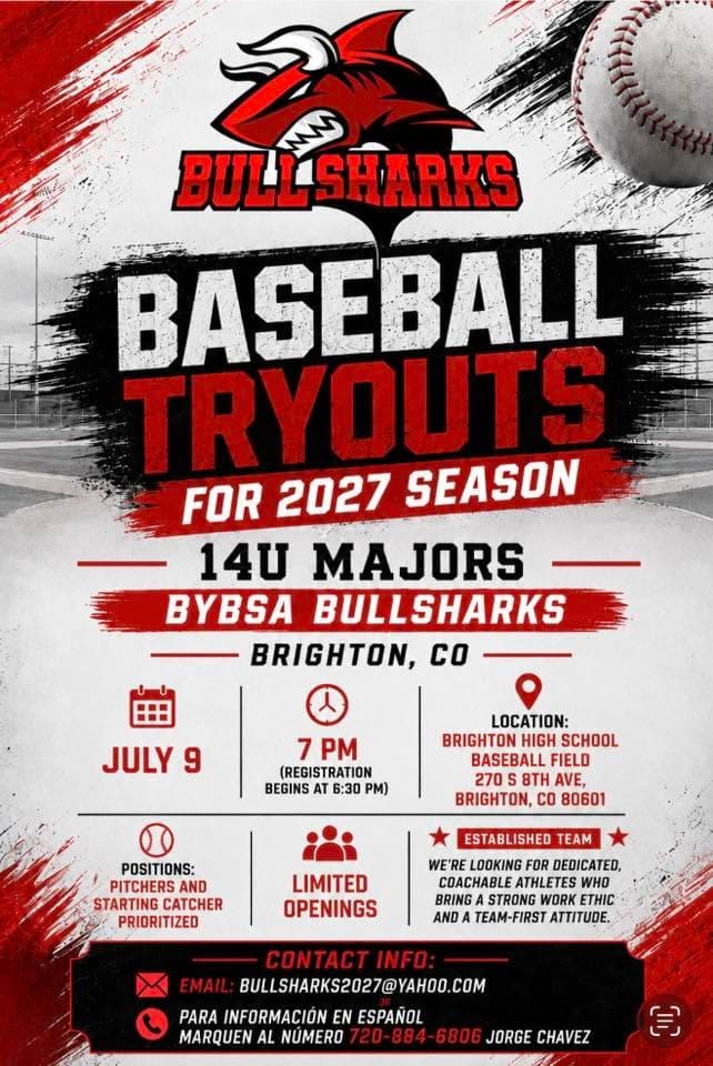 Tryout flyer
