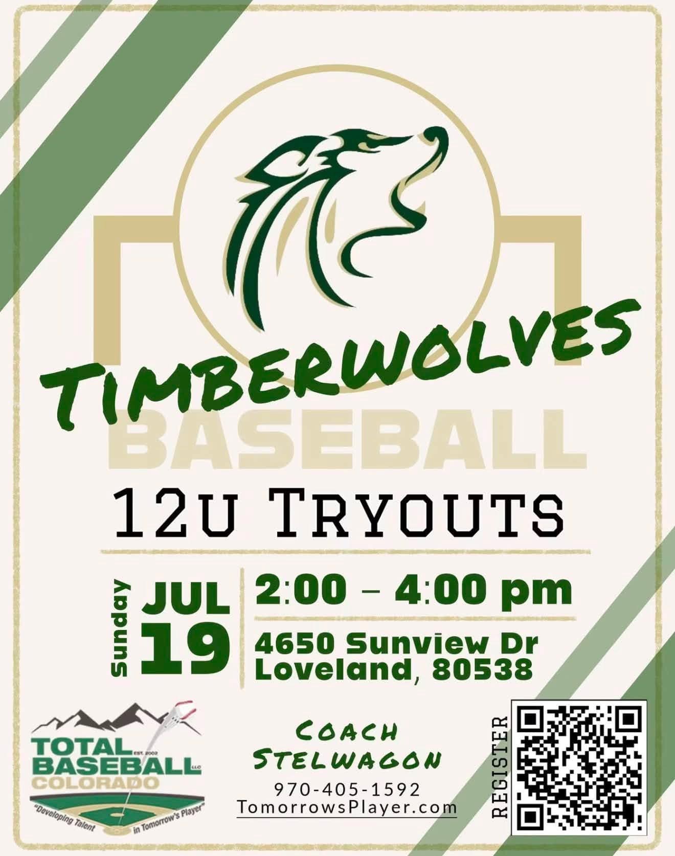 Tryout flyer
