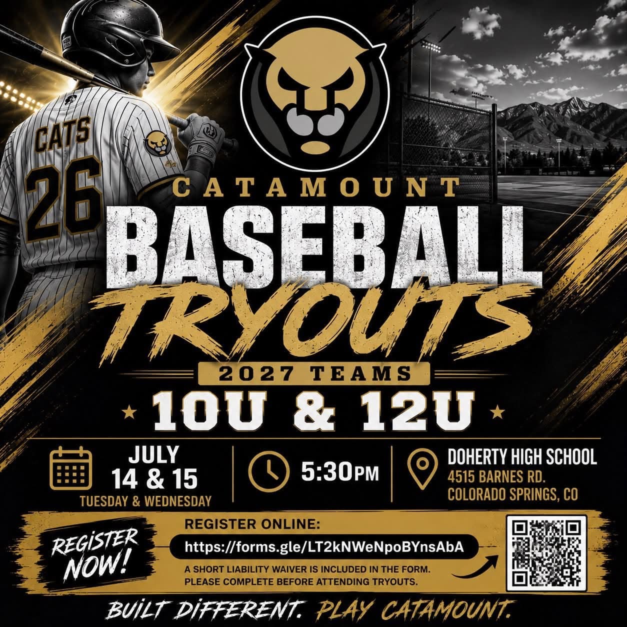 Tryout flyer